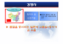 일본시장연구 -김 진출-16