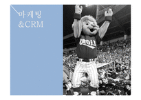 [마케팅전략] 삼성라이온즈 CRM-11