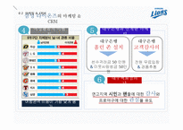 [마케팅전략] 삼성라이온즈 CRM-13