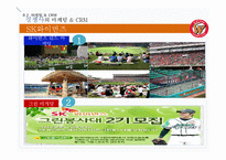 [마케팅전략] 삼성라이온즈 CRM-15