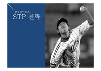 [마케팅전략] 삼성라이온즈 CRM-17