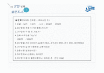 [마케팅전략] 삼성라이온즈 CRM-18