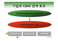 [경영학] CSR과 기업전략의 효과적인 연계방안 연구-6