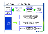농협 경영전략 레포트-18