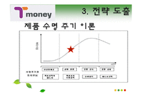 [무역상무] 티 머니(T-Money)의 수출과 판매전략-19