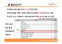 [글로벌마케팅] 웅진코웨이 아르헨티나 진출 전략-3
