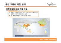 [글로벌마케팅] 웅진코웨이 아르헨티나 진출 전략-10