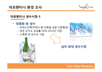 [글로벌마케팅] 웅진코웨이 아르헨티나 진출 전략-18
