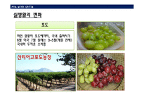 [경제학] 한국-칠레 FTA-17