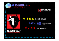 아웃도어 블랙야크(blackyak) 브랜드마케팅 분석-1