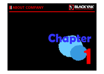 아웃도어 블랙야크(blackyak) 브랜드마케팅 분석-3
