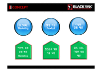 아웃도어 블랙야크(blackyak) 브랜드마케팅 분석-17