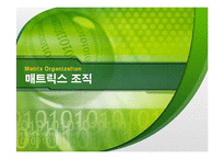 매트릭스 조직의 이해와 적용사례에 대한 연구-1