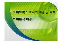 매트릭스 조직의 이해와 적용사례에 대한 연구-3