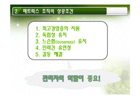 매트릭스 조직의 이해와 적용사례에 대한 연구-10