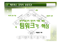 매트릭스 조직의 이해와 적용사례에 대한 연구-11