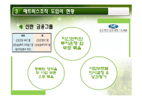 매트릭스 조직의 이해와 적용사례에 대한 연구-17