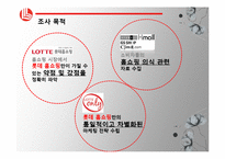롯데 홈쇼핑 마케팅 조사-12