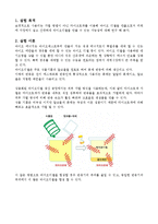 [화학공학] 마이크로파를 이용한 바이오디젤제조-2