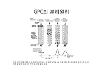[화학공학실험] GPC를 이용한 고분자 물질의 분자량 측정-6