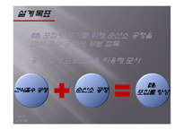 [화학공학] 건식흡수제를 이용한 CO2 흡수 기술 개선-12