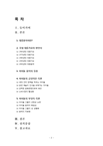 [대중문화] 한국 대중 가요의 아이돌화-2