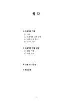 군사 비대칭적 개발-2