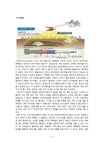 군사 비대칭적 개발-11