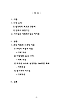 [경영조직] 헝가리의 세케레시_장애인을 위한 네트워크-2