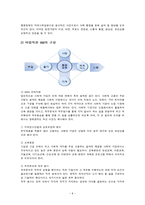 [경영조직] 헝가리의 세케레시_장애인을 위한 네트워크-8