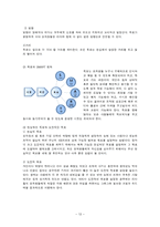 [경영조직] 헝가리의 세케레시_장애인을 위한 네트워크-12