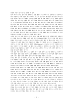 [국제관계사] 보불 전쟁을 통해 분석해보는 인물 비스마르크-14