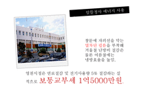 [행정] 지방재정 운용과 실태 -호화청사와 알뜰청사-20