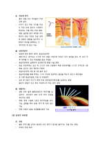 [여성건강심리] 피임-8