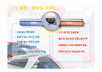 [정책분석평가론] 동남권신공항 유치문제분석-8