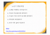 노년기 레포트-15
