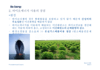 바이오에너지 레포트-8