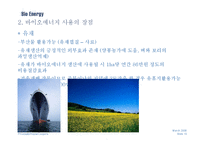바이오에너지 레포트-10