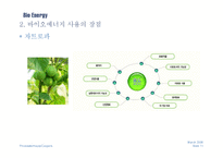 바이오에너지 레포트-11