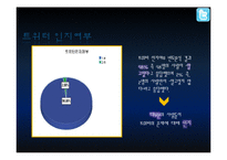 트위터의 저널리즘 역할에 대한 인식조사-19