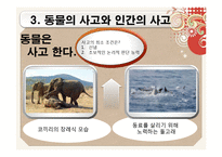 언어와 사고 레포트-18