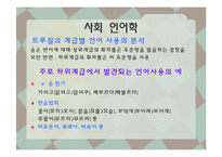 [언어와 사회] 언어의 다양성, 혼성어-11
