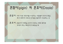 [언어와 사회] 언어의 다양성, 혼성어-15