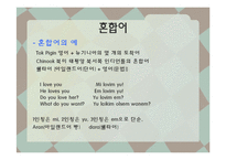 [언어와 사회] 언어의 다양성, 혼성어-18