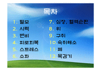 [식품과 영양] 질병과 과일-2