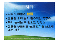 [식품과 영양] 질병과 과일-9