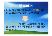 [식품과 영양] 질병과 과일-12