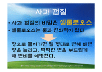 [식품과 영양] 질병과 과일-15