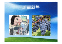 [식품과 영양] 질병과 과일-16