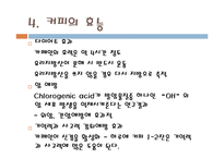 [식품] 커피 분석-13